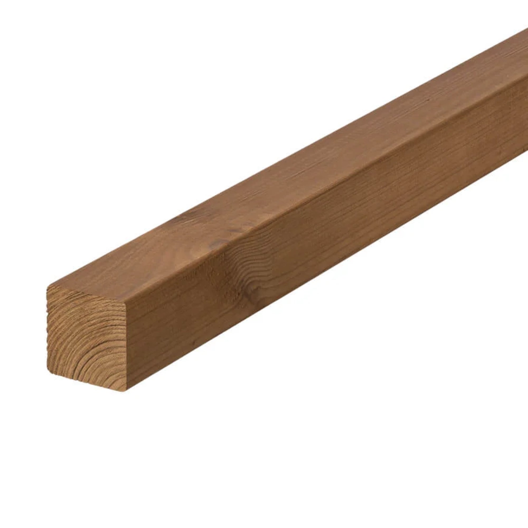 331100004 - Luna_4242