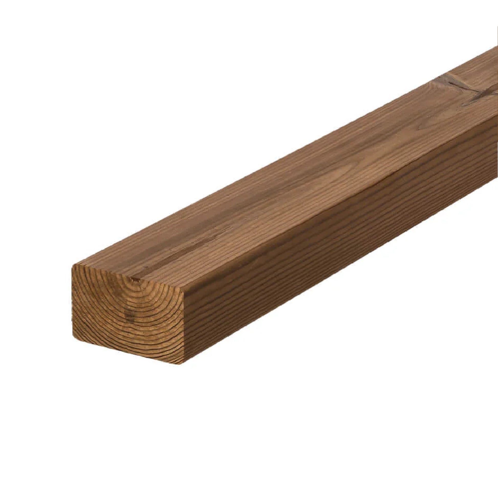 331100010 - Luna_4268