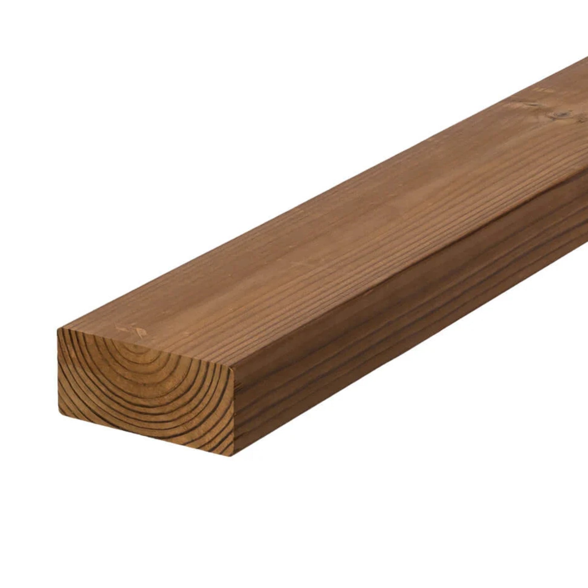 331100021 - Luna_4292