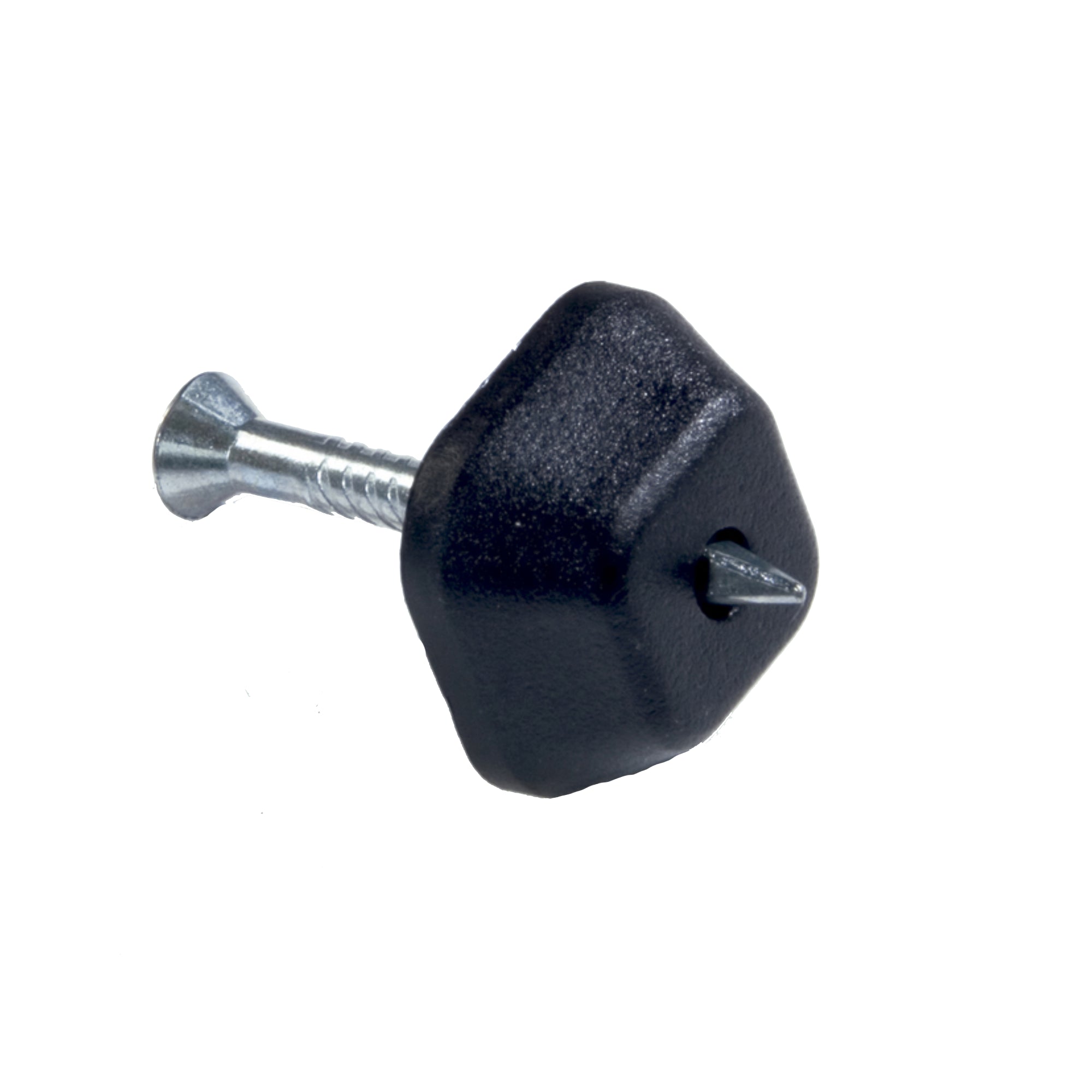 233000027 - Platonspik_30