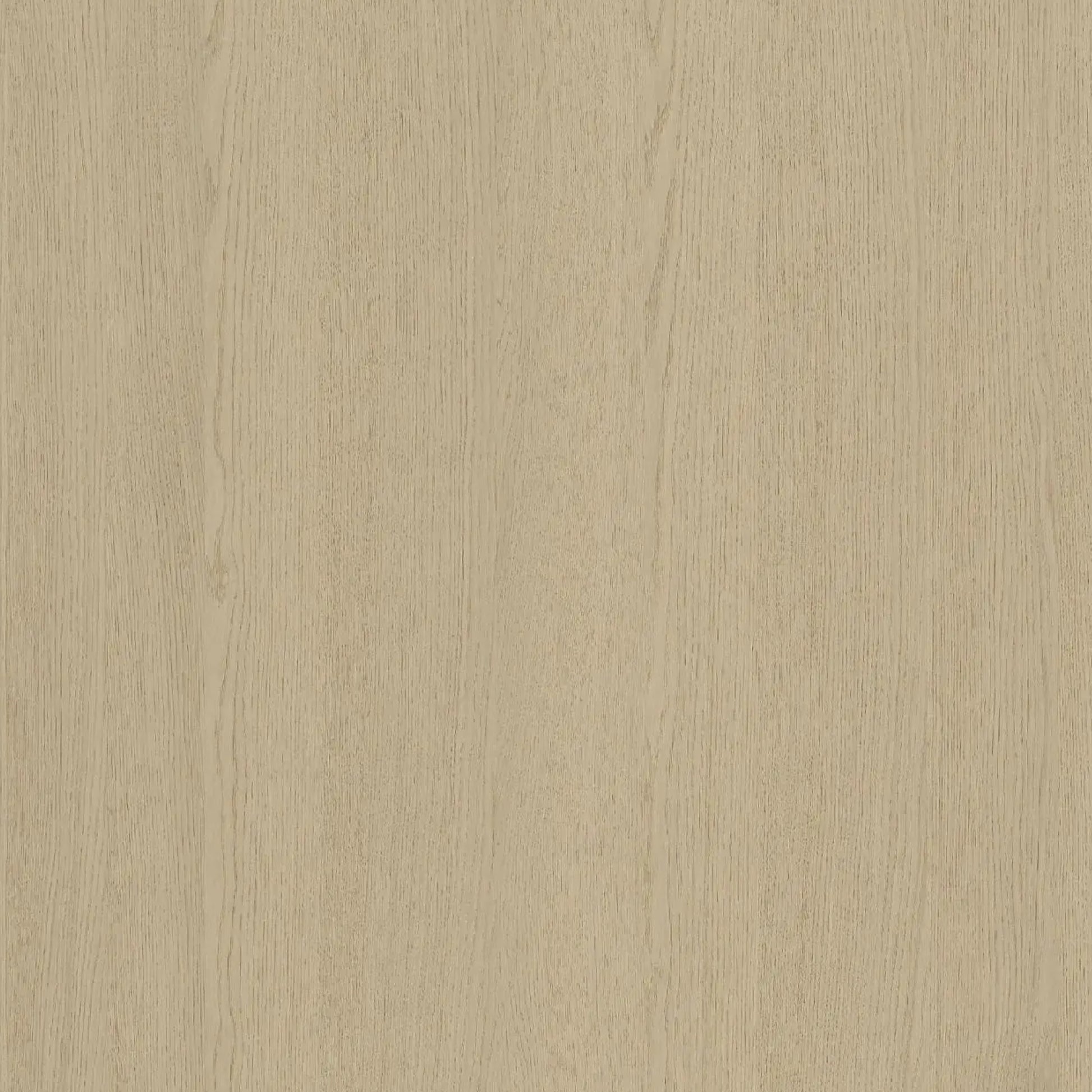 113100176 - Shinnoki_Desert_Oak