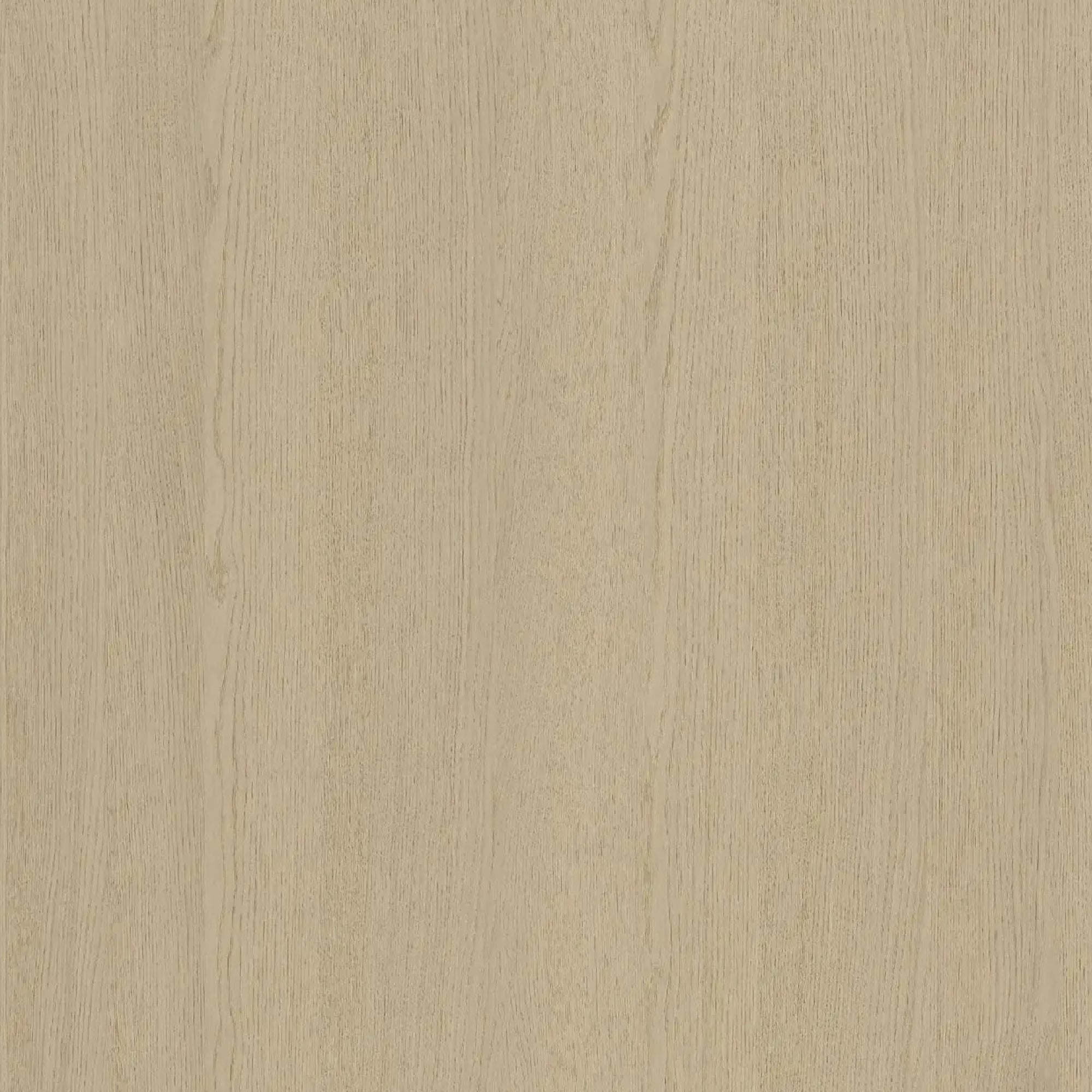 113100176 - Shinnoki_Desert_Oak