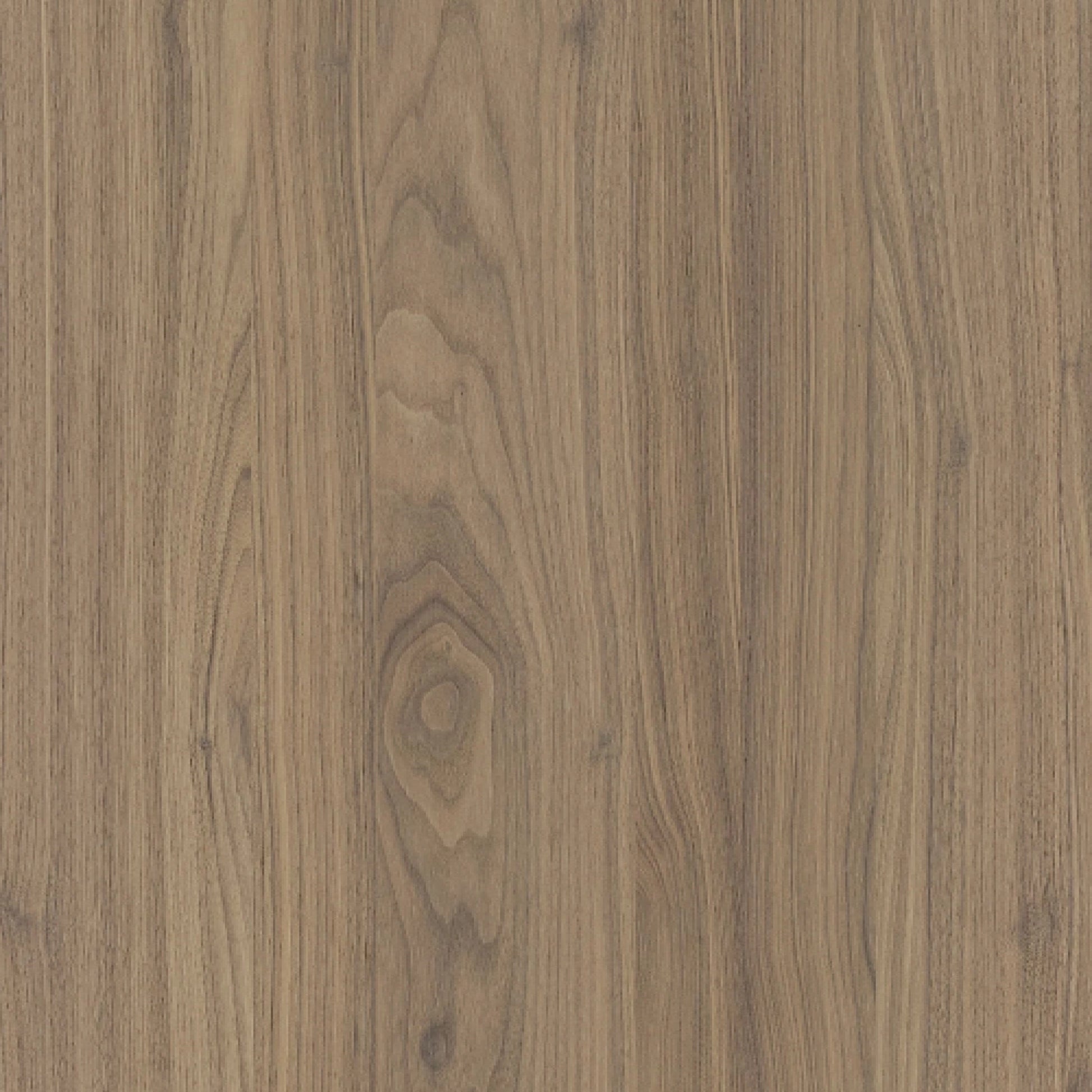 164500023 - Shinnoki_Frozen_Walnut