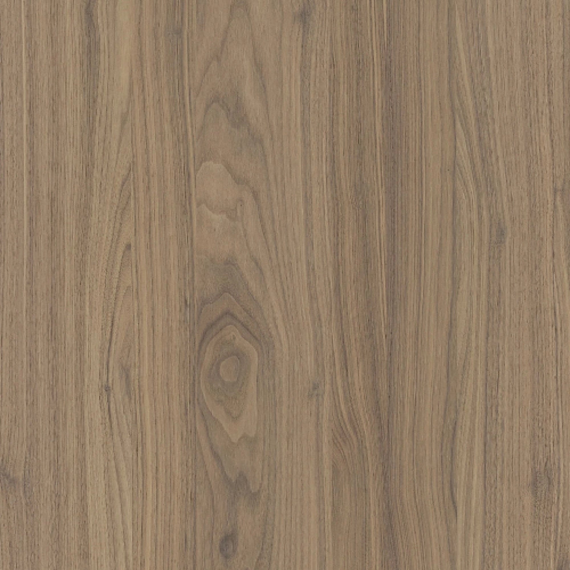 164500023 - Shinnoki_Frozen_Walnut