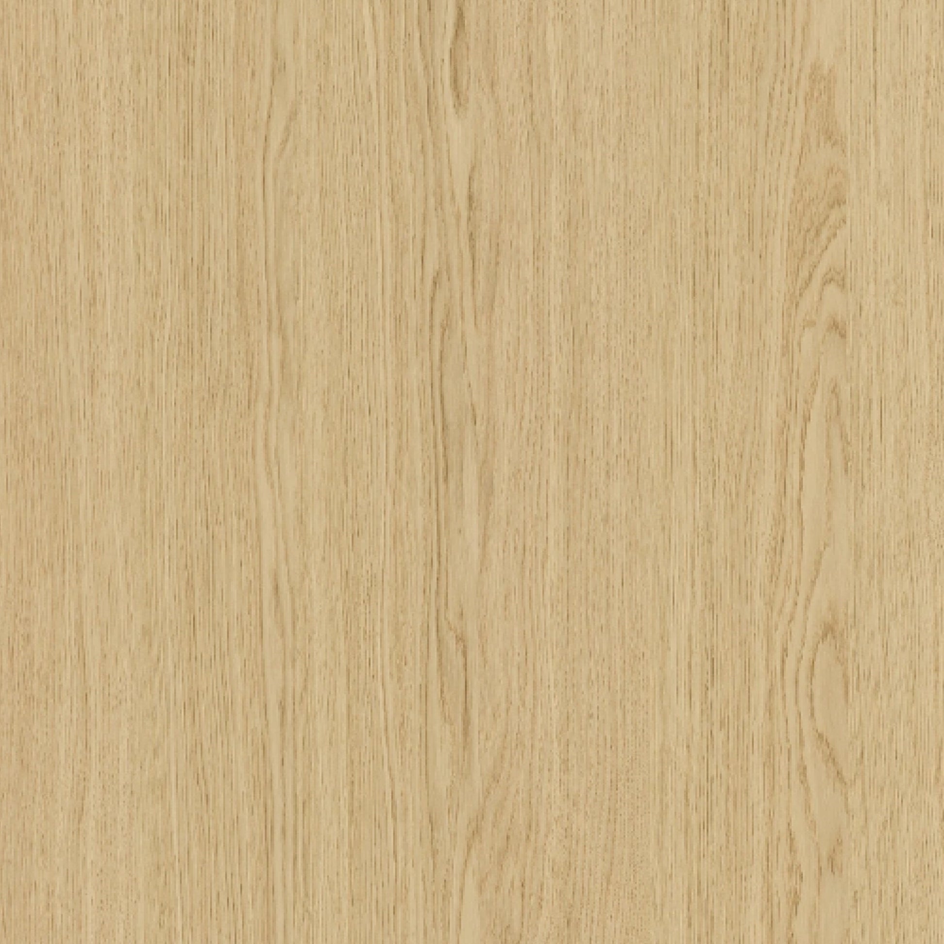 113100174 - Shinnoki_Ivory_Oak