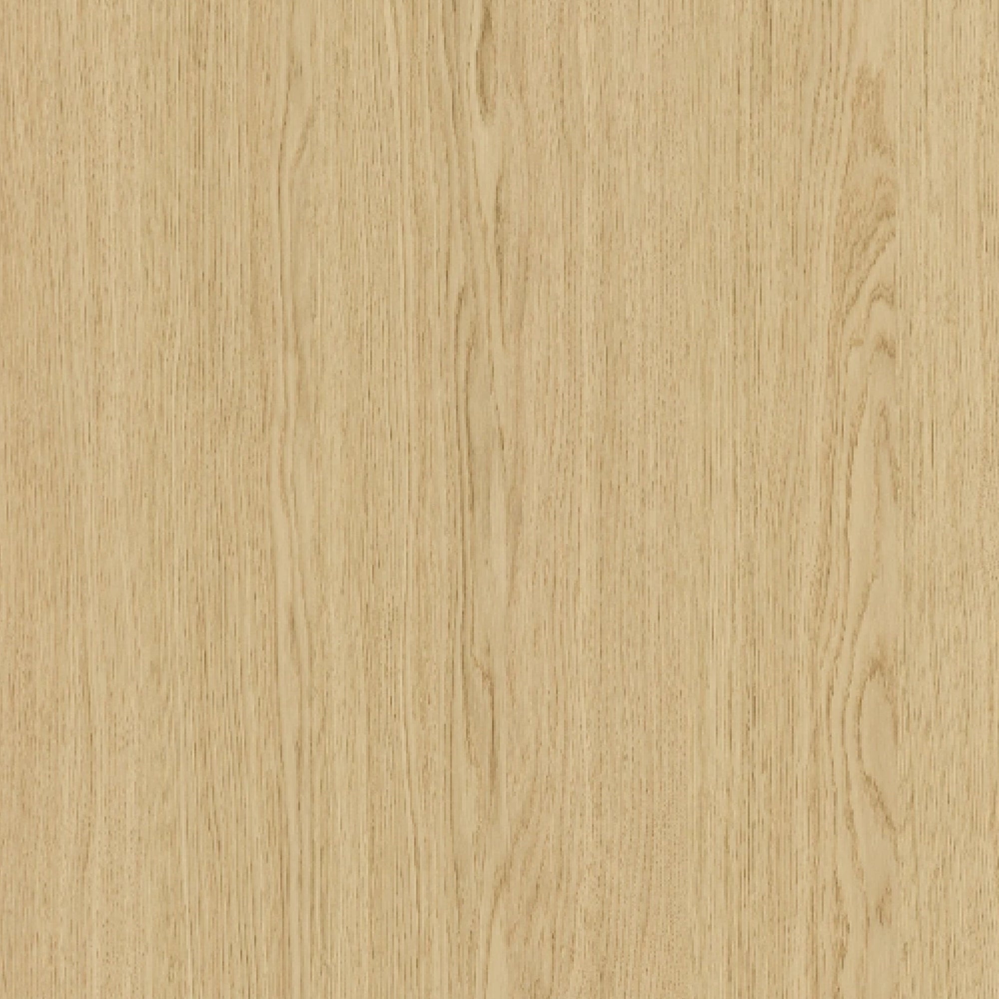 113100174 - Shinnoki_Ivory_Oak