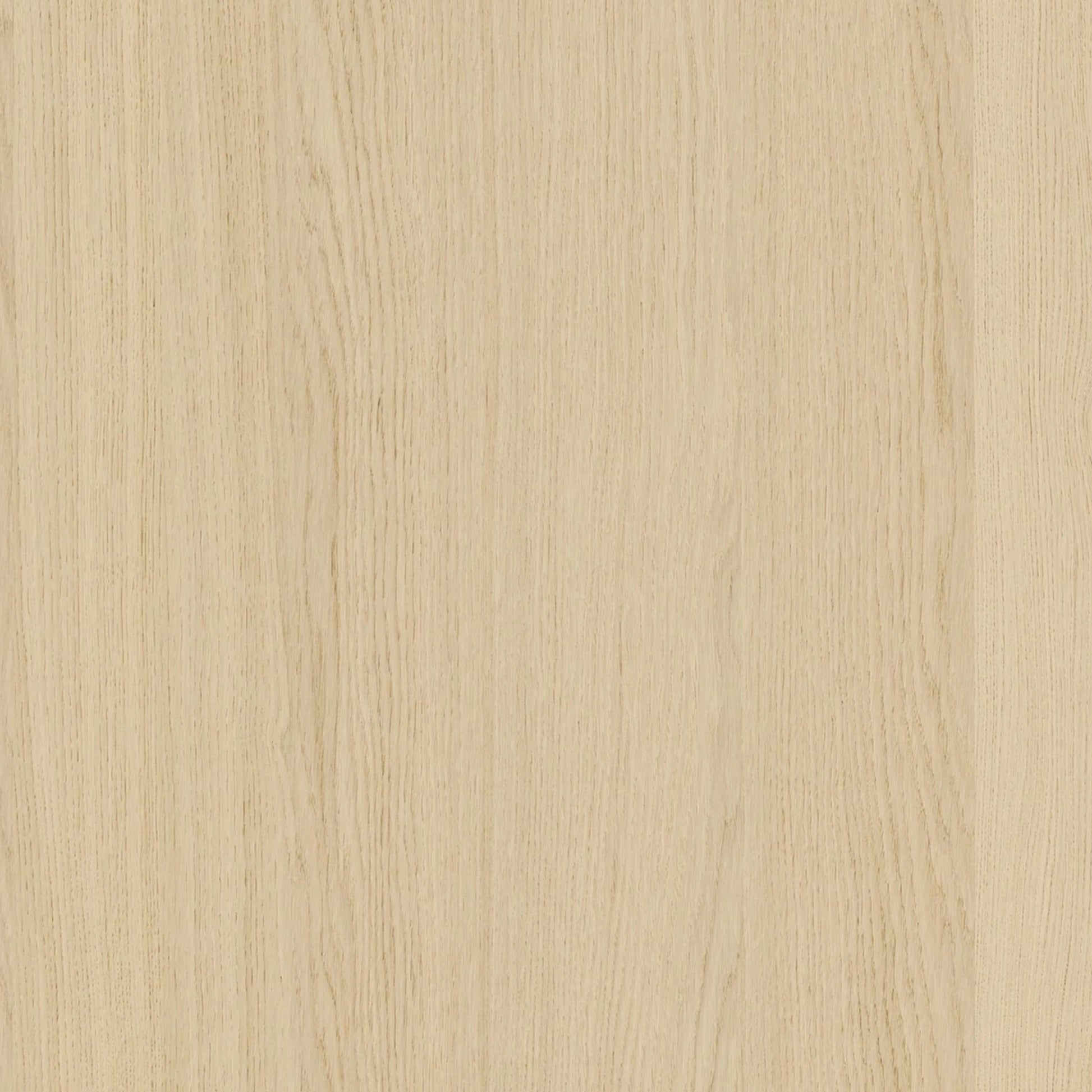 164500029 - Shinnoki_Milk_Oak