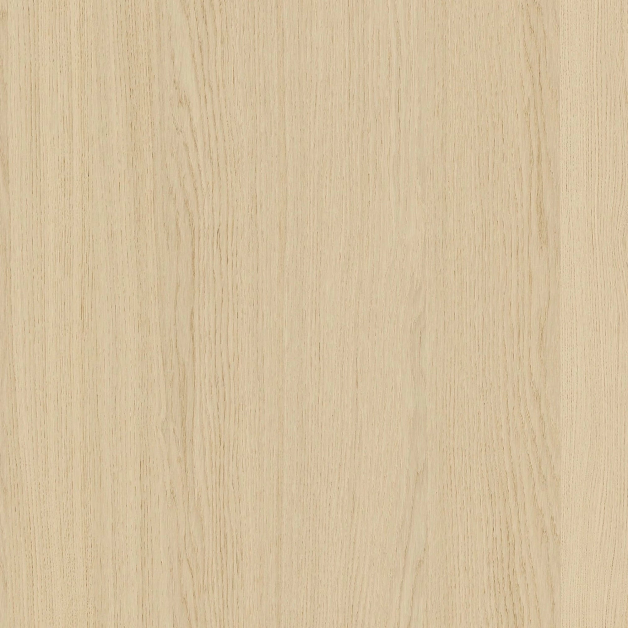 164500029 - Shinnoki_Milk_Oak