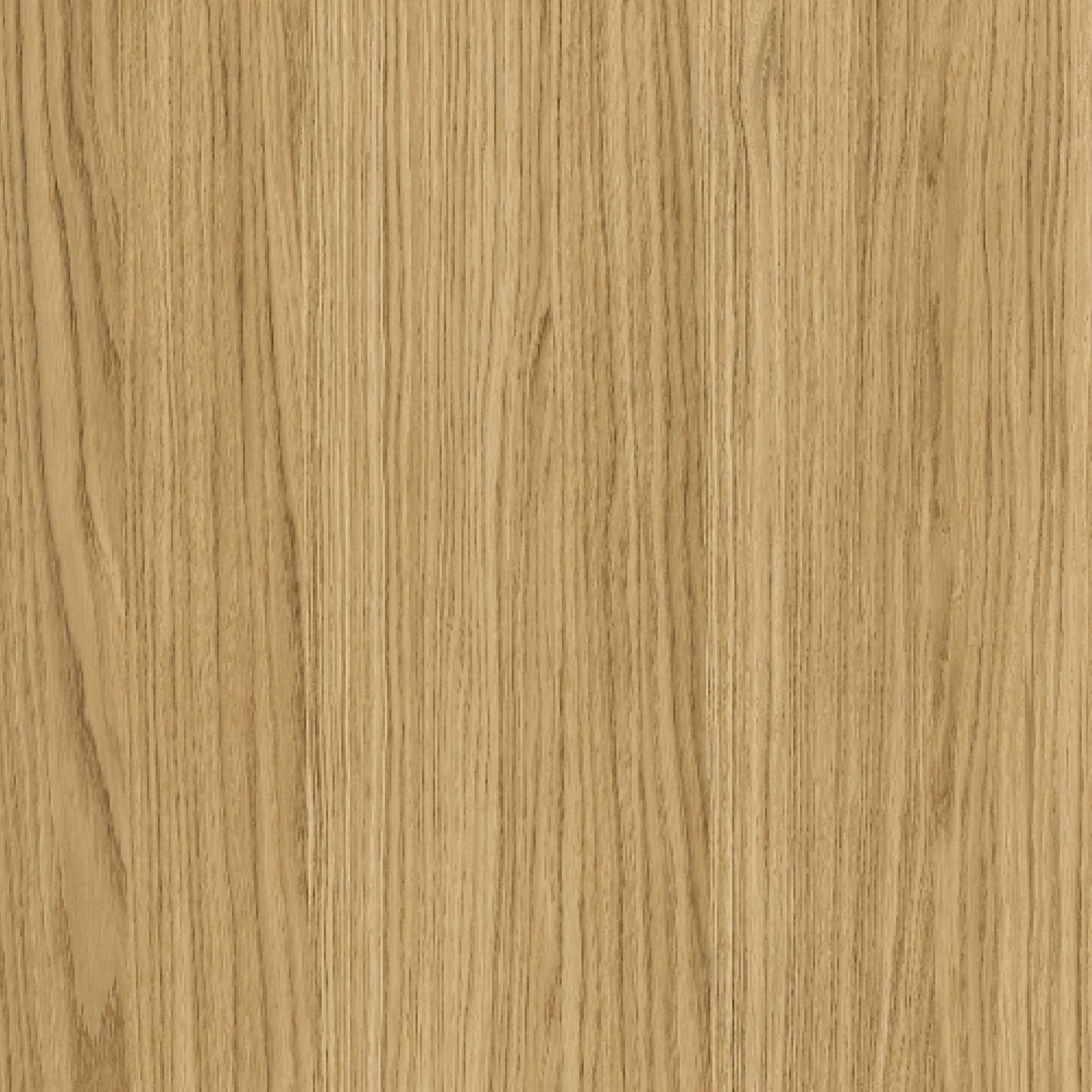 163000291 - Shinnoki_Natural_Oak