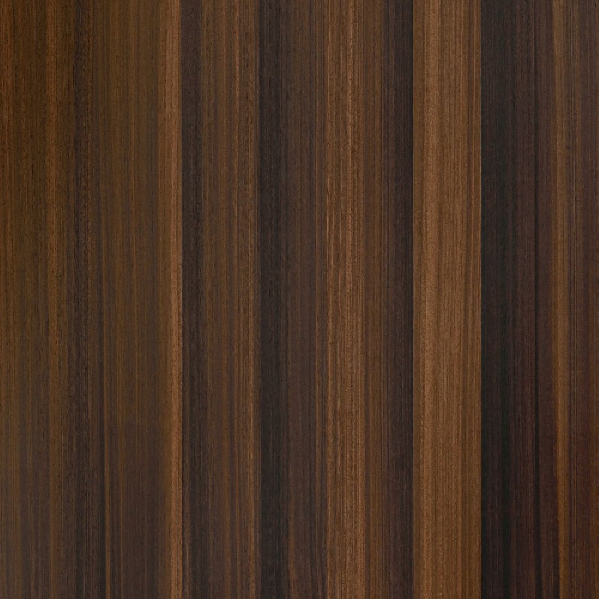 113100173 - Shinnoki_Shadow_Eucalyptus