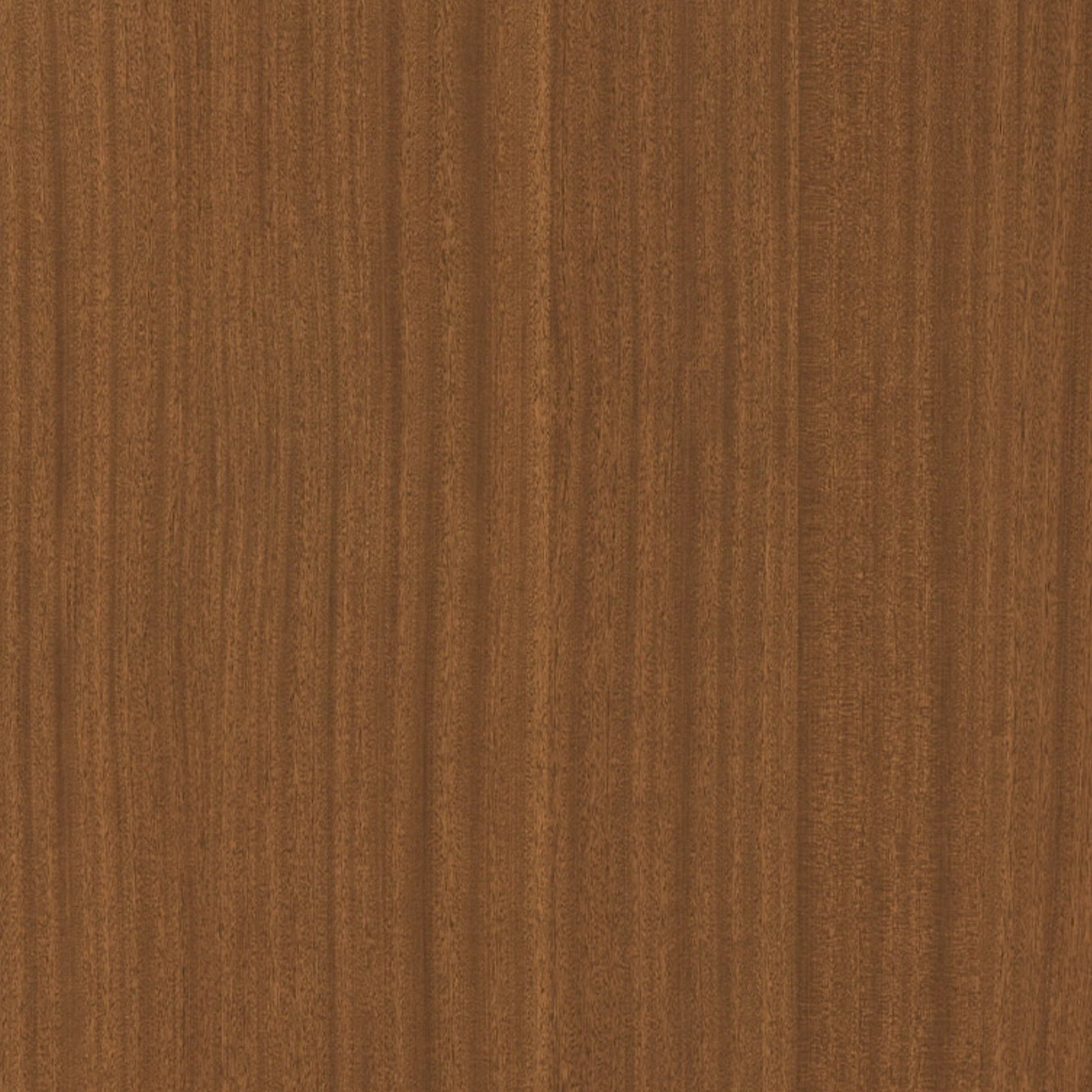 113100172 - Shinnoki_Terra_Sapele