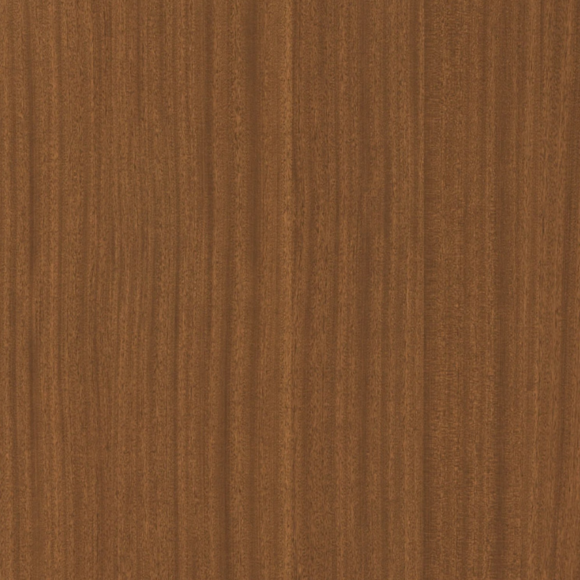 164500030 - Shinnoki_Terra_Sapele