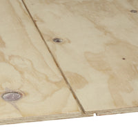 K-Plywood Tebopin Ergo Falsad