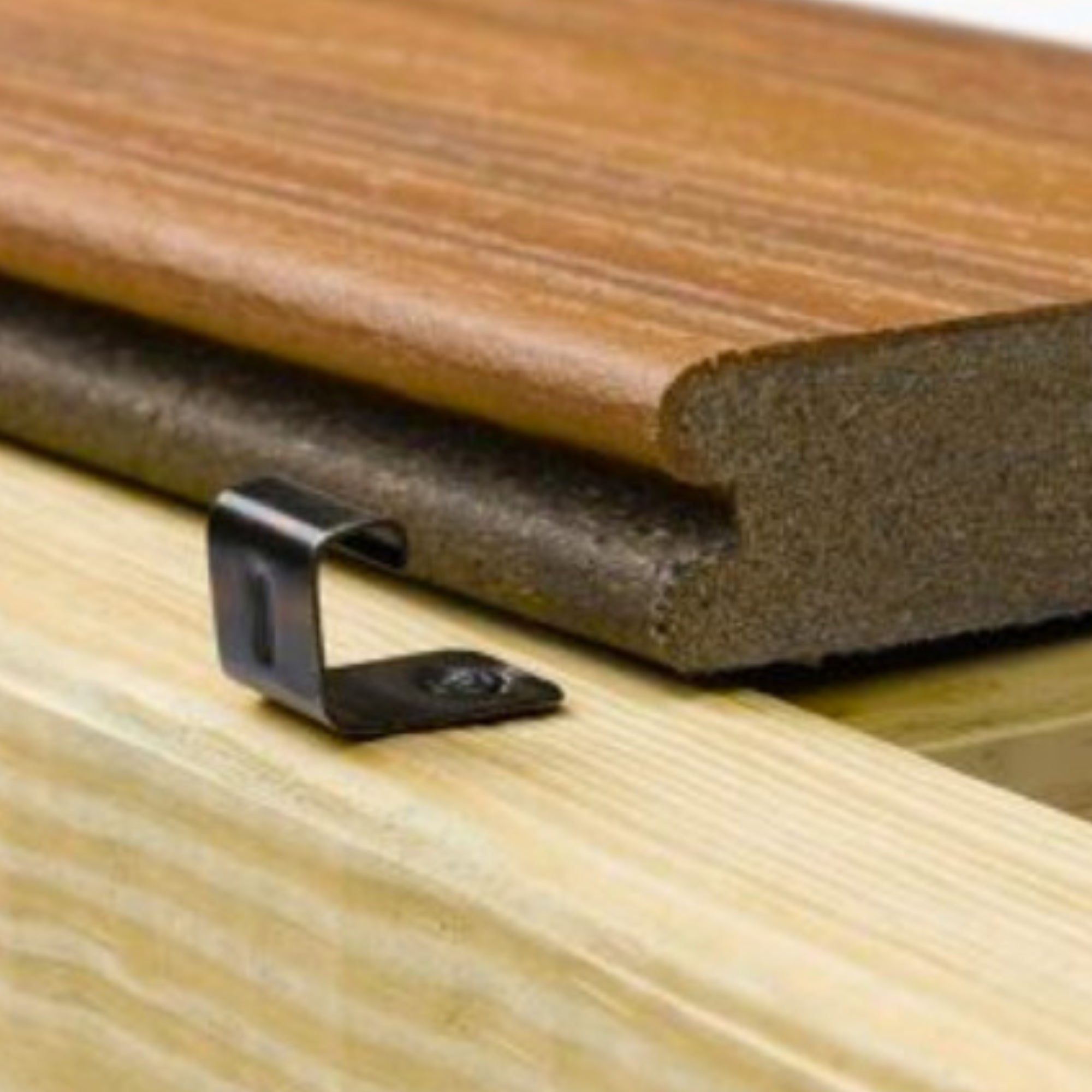 339000009 - Trex_Startclips