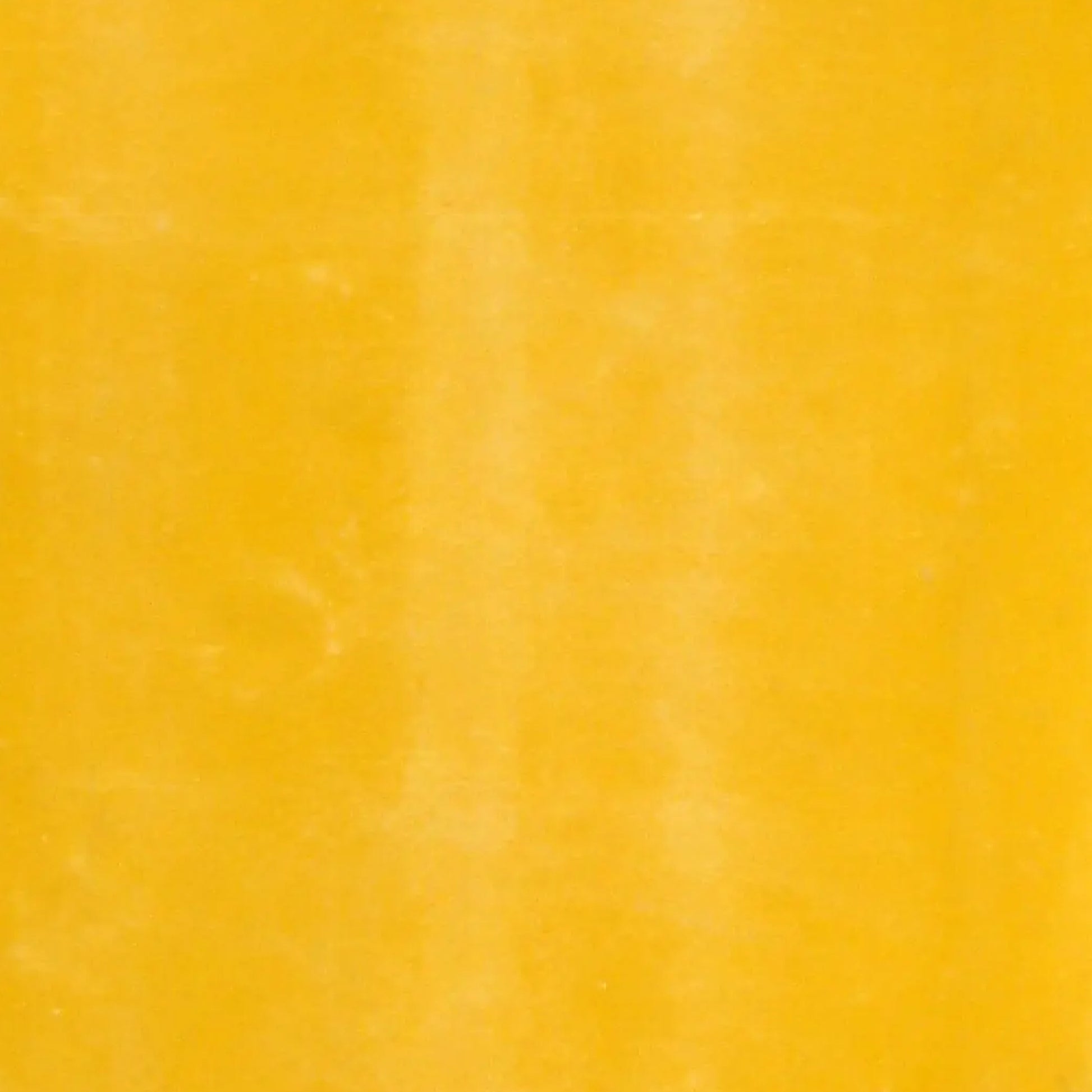 161200008 - Viroc_Gul